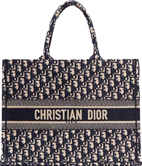 christian dior bag for beach|christian dior small tote bag.